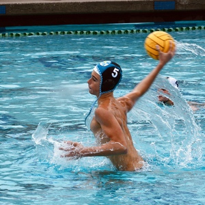 Fundraising Page: Dominic Palandrani